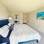 The Electric Blue Abode, Oceanside
